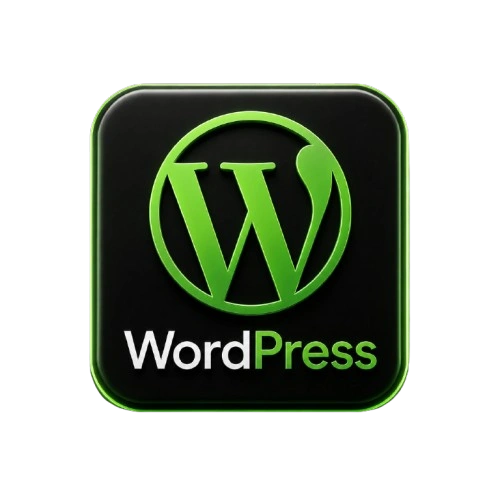 expert in wordpress
